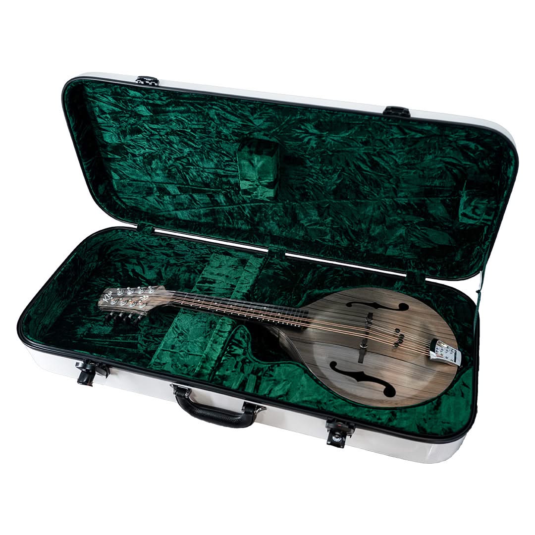 Mandolin Hard Case (Refurbished) - Image 6